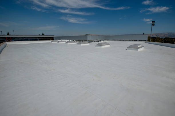 Best Roof Maintenance and Cleaning  in One Loudoun, VA